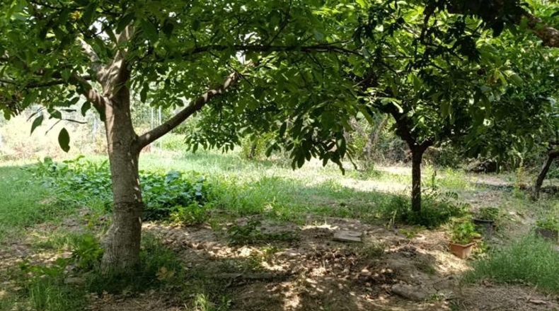 Navarra - Cascante - 3392m2