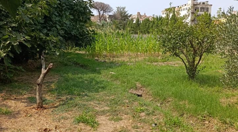 Navarra - Cascante - 3392m2