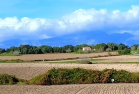 Muro 15800&nbsp;m²