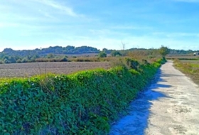 Muro 15800&nbsp;m²