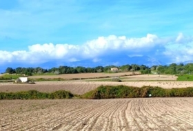 Muro 15800&nbsp;m²