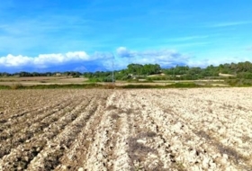 Muro 15800&nbsp;m²