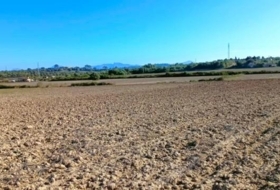 Muro 15800&nbsp;m²