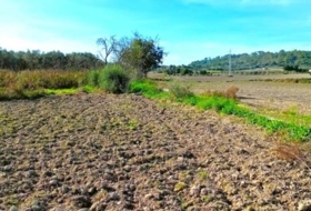 Muro 15800&nbsp;m²