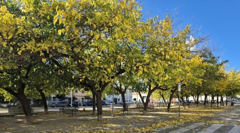 Barcelona - Terrassa - 95m2