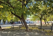Отдельно стоящий дом с участком на продажу в городе Террасса Фото