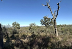 Berrocal 128985&nbsp;м²