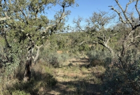Berrocal 128985&nbsp;м²