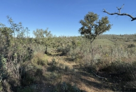 Berrocal 128985&nbsp;м²