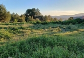 Sòl urbà en venda a la España, la Pobla de Vallbona, ref.: TR365103 foto