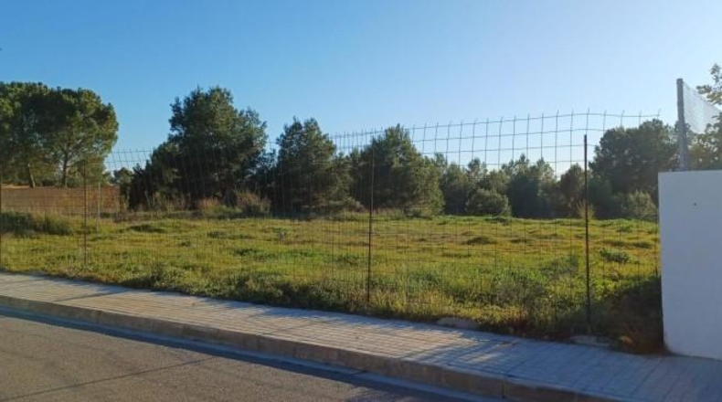 Valencia - Puebla de Vallbona - 500m2