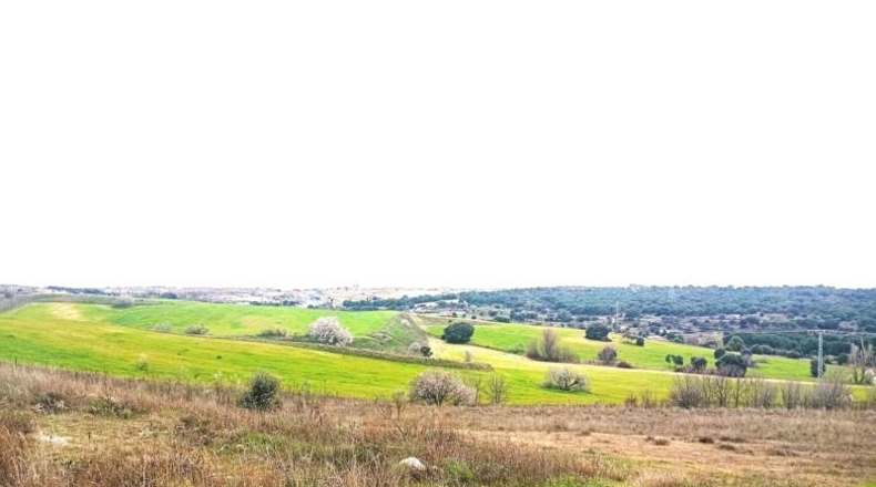 Community of Madrid - Majadahonda - 6900m2