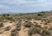 Terreno no urbanizable en venta en la España, Novelda, ref: TR313634 foto