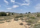 Terreno no urbanizable en venta en la España, Novelda, ref: TR313634 foto