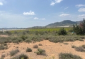 Terreno no urbanizable en venta en la España, Novelda, ref: TR313634 foto