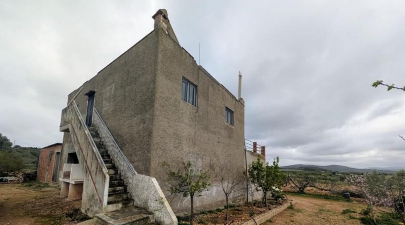 Кастельон - Vinaroz - 36872m2
