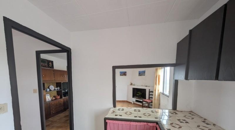 Кастельон - Vinaroz - 36872m2