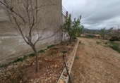 Casa amb terreny en venda a la España, Vinaròs, ref.: TR287461 foto