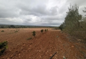 Casa amb terreny en venda a la España, Vinaròs, ref.: TR287461 foto
