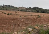 Casa amb terreny en venda a la España, Vinaròs, ref.: TR287461 foto