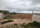 Casa amb terreny en venda a la España, Vinaròs, ref.: TR287461 foto