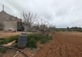 Casa amb terreny en venda a la España, Vinaròs, ref.: TR287461 foto