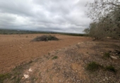 Casa amb terreny en venda a la España, Vinaròs, ref.: TR287461 foto