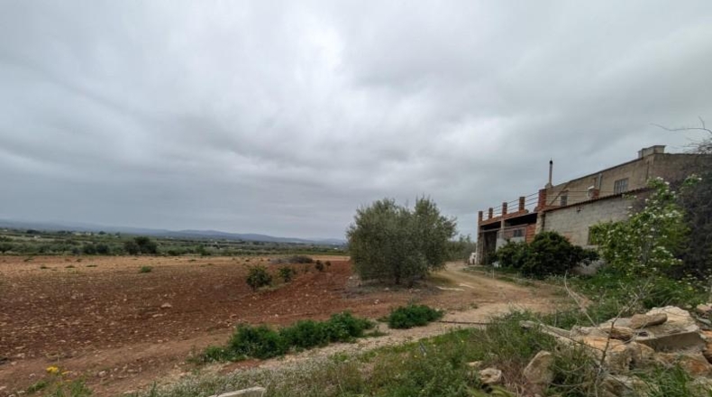 Кастельон - Vinaroz - 36872m2