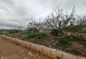 Casa amb terreny en venda a la España, Vinaròs, ref.: TR287461 foto
