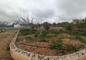 Casa amb terreny en venda a la España, Vinaròs, ref.: TR287461 foto