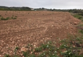 Casa amb terreny en venda a la España, Vinaròs, ref.: TR287461 foto
