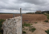 Casa amb terreny en venda a la España, Vinaròs, ref.: TR287461 foto