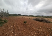 Casa amb terreny en venda a la España, Vinaròs, ref.: TR287461 foto