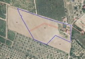 Casa amb terreny en venda a la España, Vinaròs, ref.: TR287461 foto