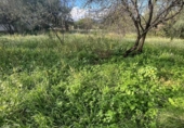 Sòl urbà en venda a la España, Castelló de la Plana, ref.: TR202689 foto