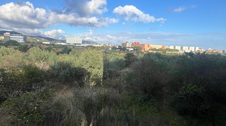 Castellón - Castellón de la Plana - 1232m2