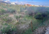 Sòl urbà en venda a la España, Castelló de la Plana, ref.: TR202689 foto