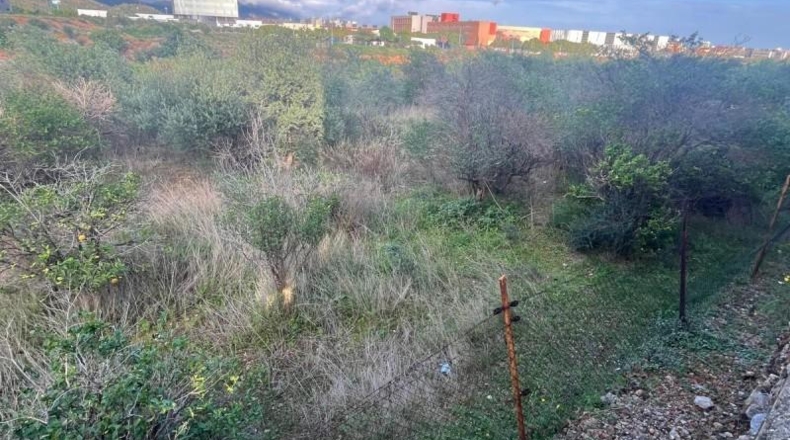 Castellón - Castellón de la Plana - 1232m2