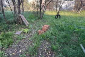 Foto 7