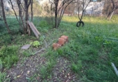 Sòl urbà en venda a la España, Castelló de la Plana, ref.: TR202689 foto