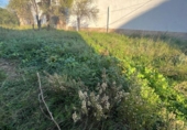 Sòl urbà en venda a la España, Castelló de la Plana, ref.: TR202689 foto