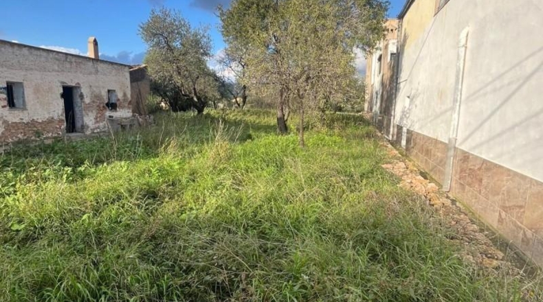 Castellón - Castellón de la Plana - 1232m2