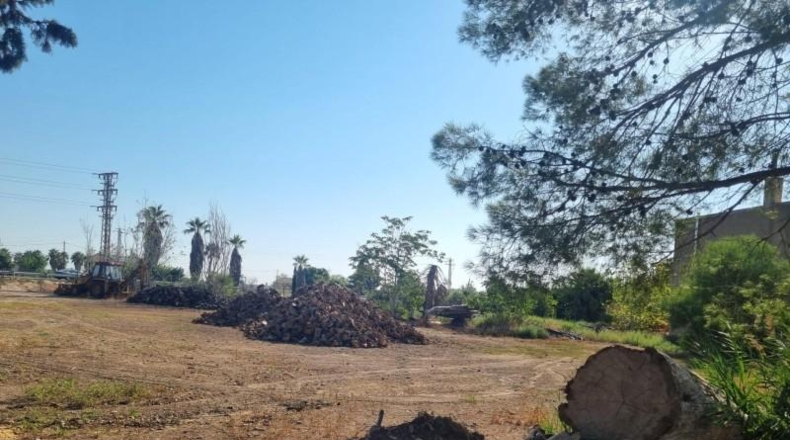 Tarragona - Deltebre - 1372m2
