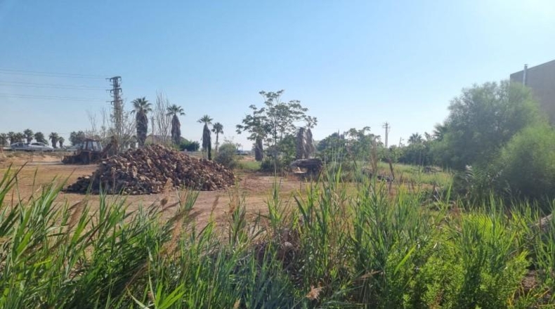 Tarragona - Deltebre - 1372m2