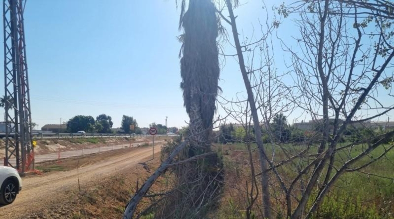 Tarragona - Deltebre - 1372m2