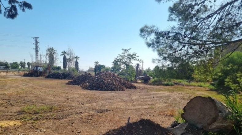 Tarragona - Deltebre - 1372m2