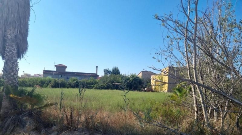 Tarragona - Deltebre - 1372m2