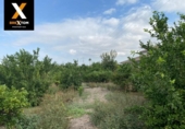 House with land for sale on España, Archena, ref: TR304405 photo