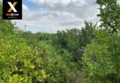 House with land for sale on España, Archena, ref: TR304405 photo