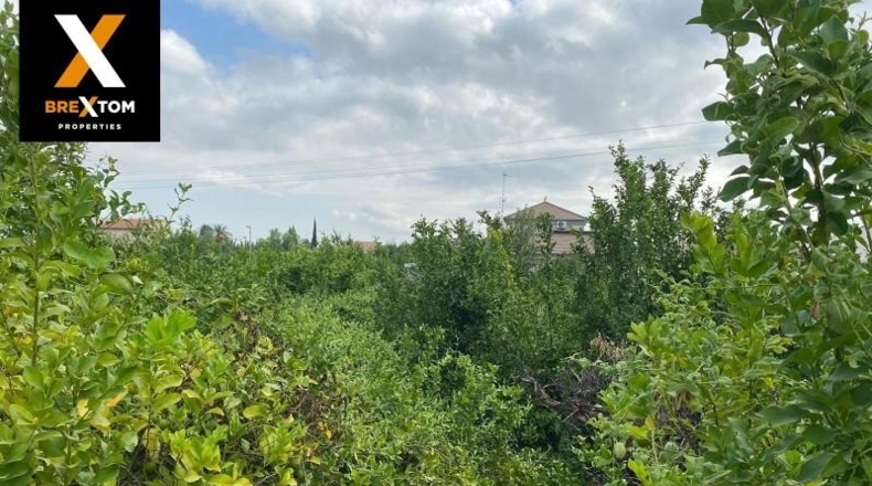 Murcia - Cartagena - 1120m2
